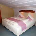 Alpina Pensjonat 3*