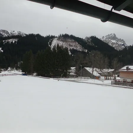 게스트하우스 Alpina 3*