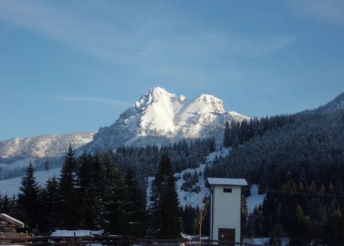 Alpina Affittacamere 3*