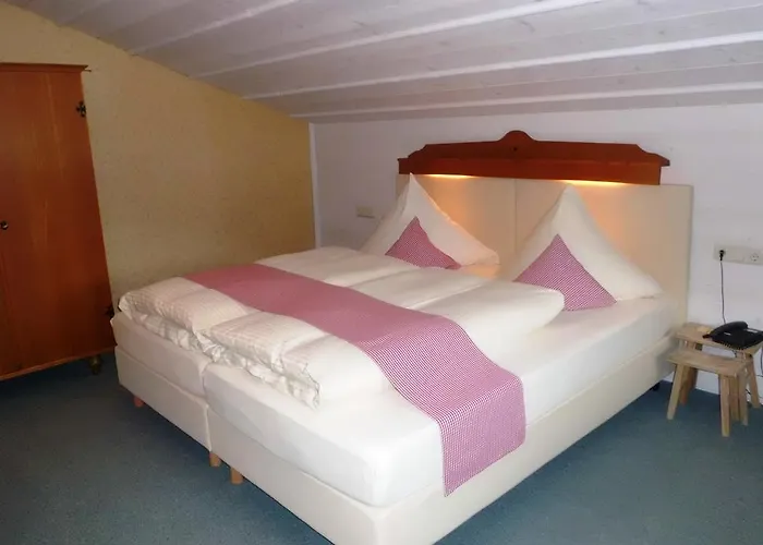 Alpina Affittacamere 3*