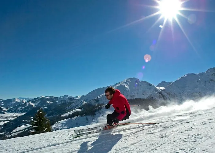 Alpina Affittacamere