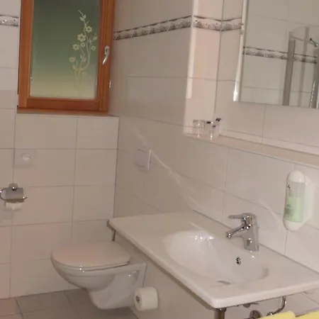 Guest house Alpina 3*